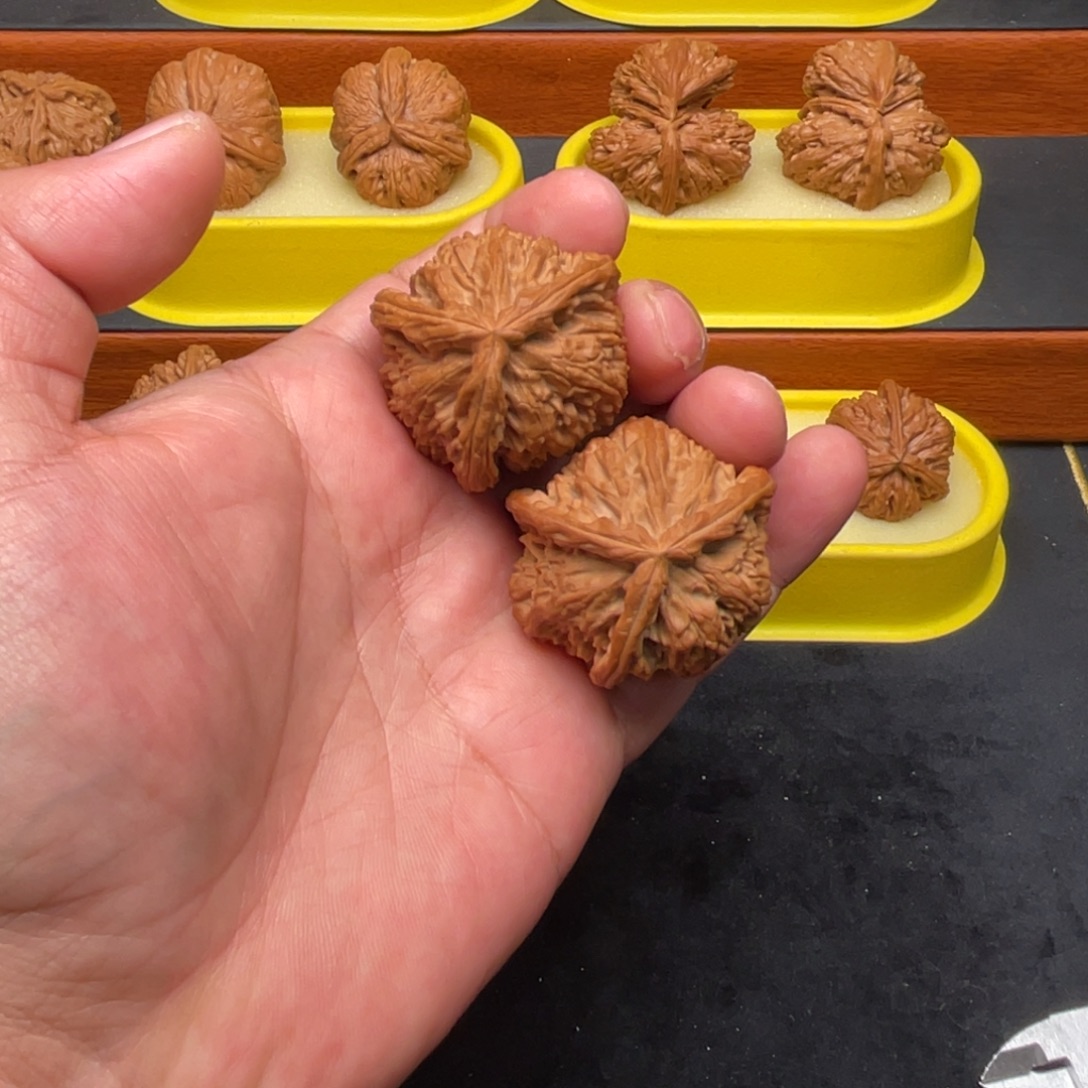 核桃手串/手链白狮子三棱40