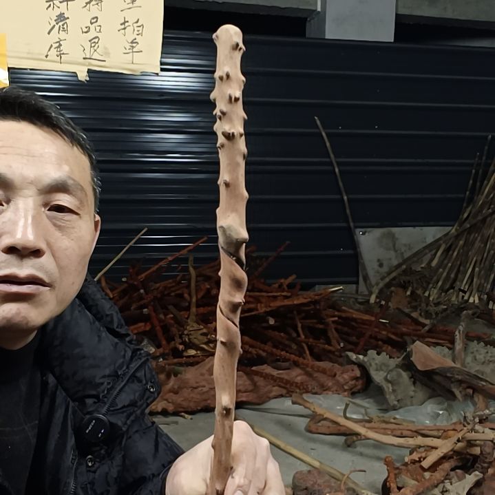 稳定木A*制贵州檬子木   铁马鞭   根艺  半成品