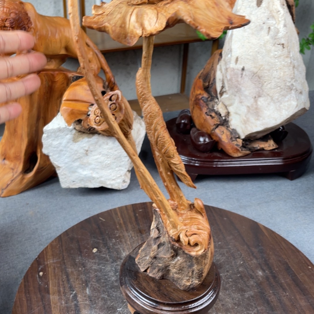 对***俭柏木（崖柏）崖柏太行山脉