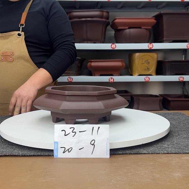 蜘蛛网的故事也太甜啦打游戏也