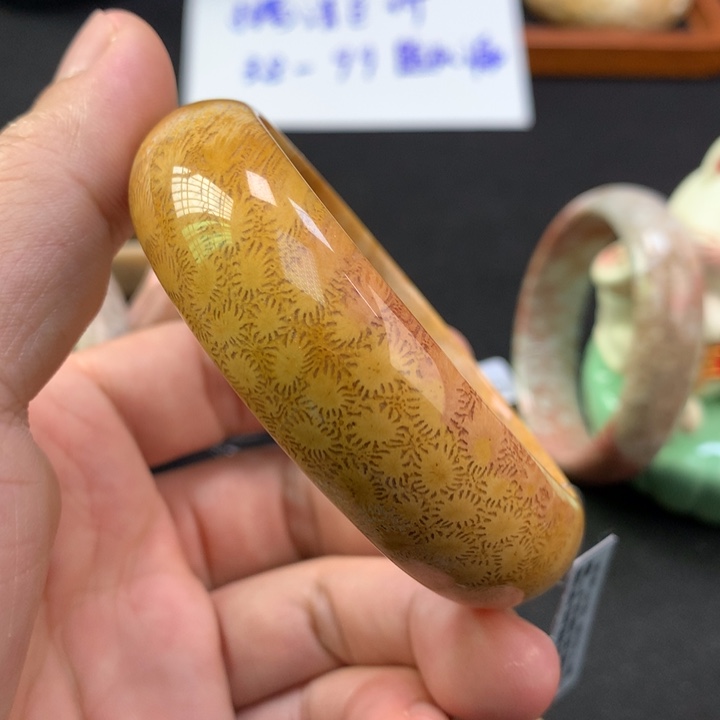 硅化珊瑚（珊瑚玉）未镶嵌颈饰58