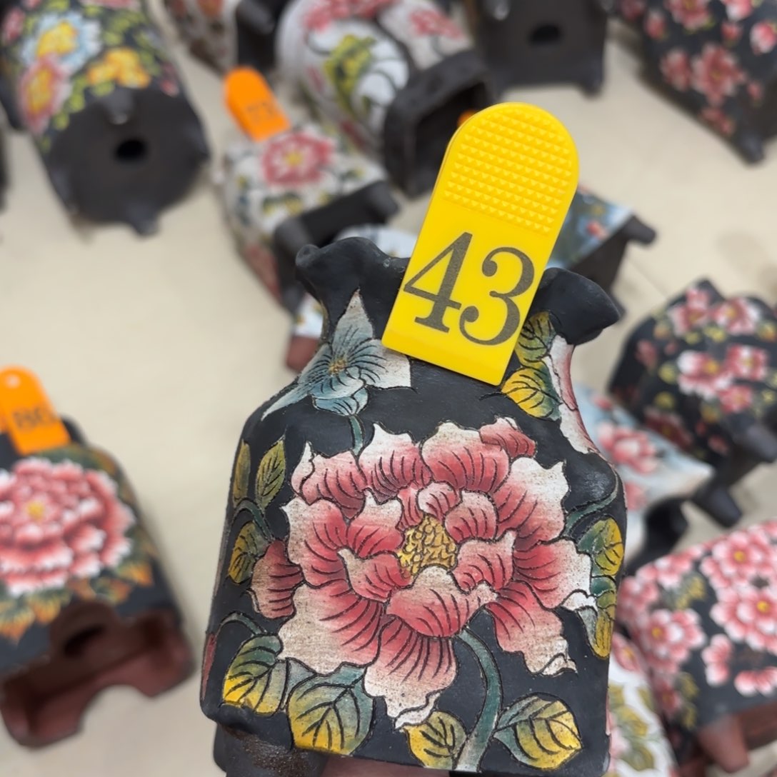 缸哈哈哈哈哈哈哈哈过