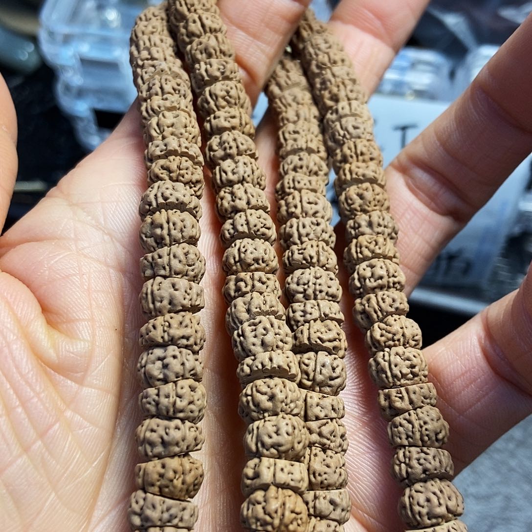 菩提籽类臻选级大肠老树王9