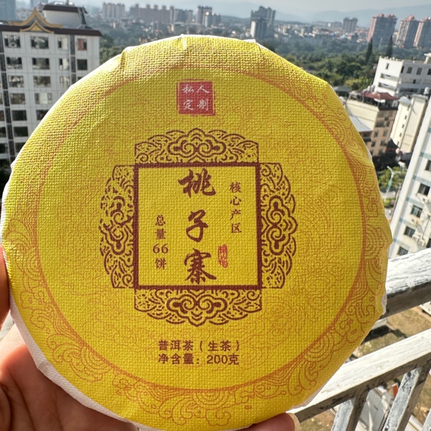 【桃子寨】2021年头春头採 古树纯料