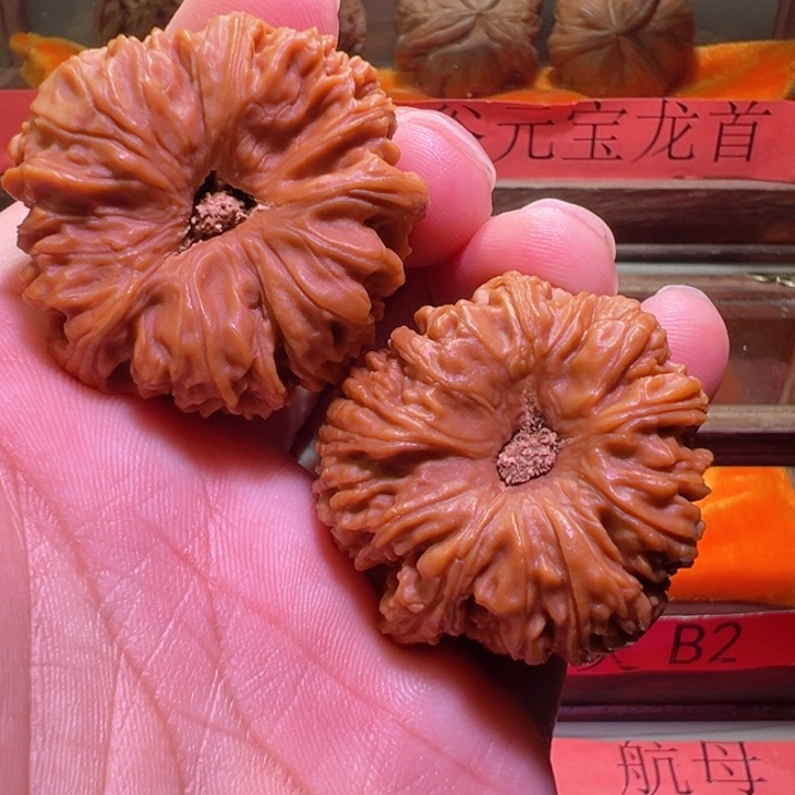 正*南疆石凹大三棱