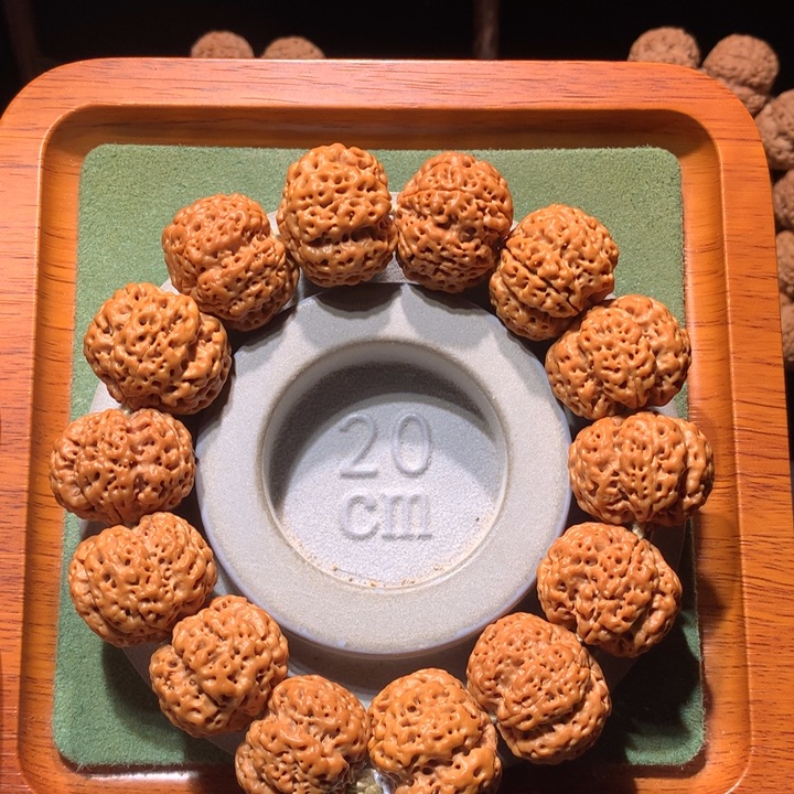 手串金刚菩提24+五面龙