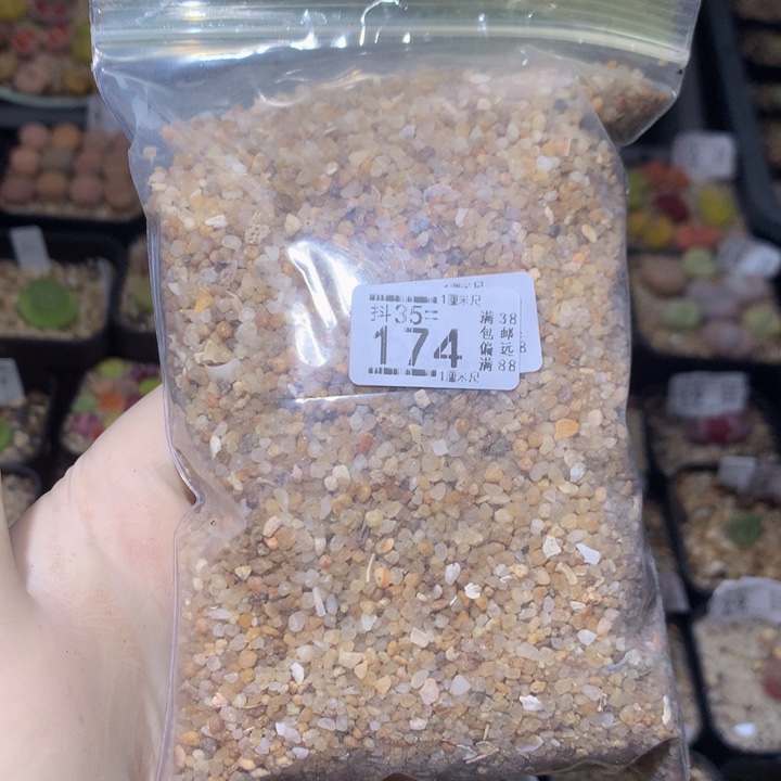 精品生石花35.174