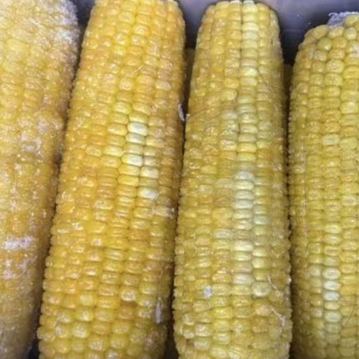 农家自种 糯玉米 （净重4斤以上）冷冻发货