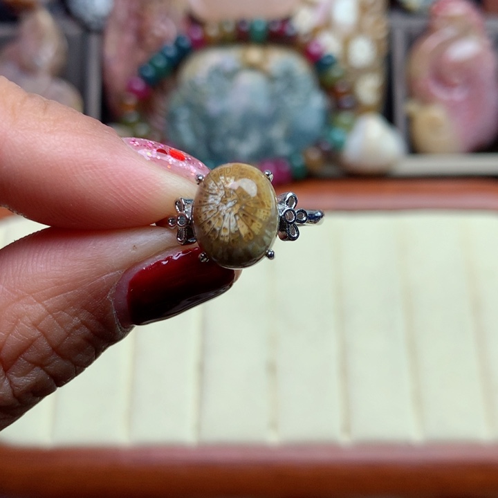 硅化珊瑚（珊瑚玉）颈饰未镶嵌