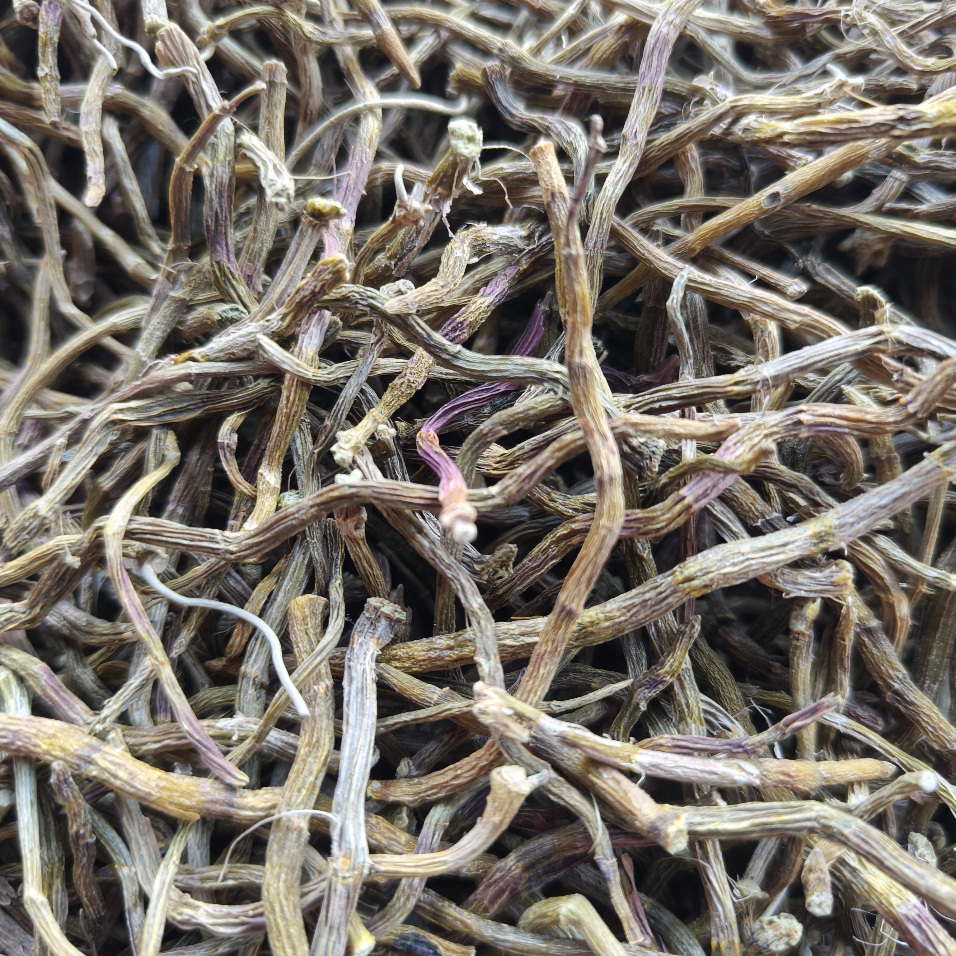 【藏区优质山货】藏区崖斛2