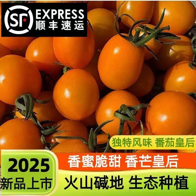 香芒皇后番茄2.7斤毛重，酸甜生吃小西红柿北京市