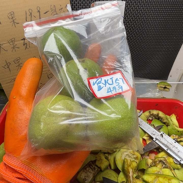 宫灯大果一组4个