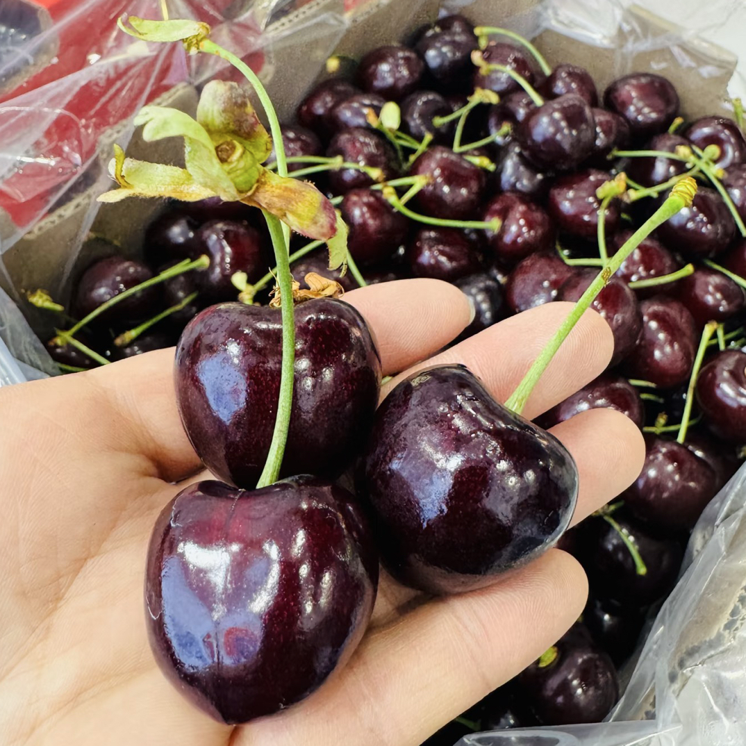 智利空运进口车厘子科迪亚4J规格一箱5斤净重智利