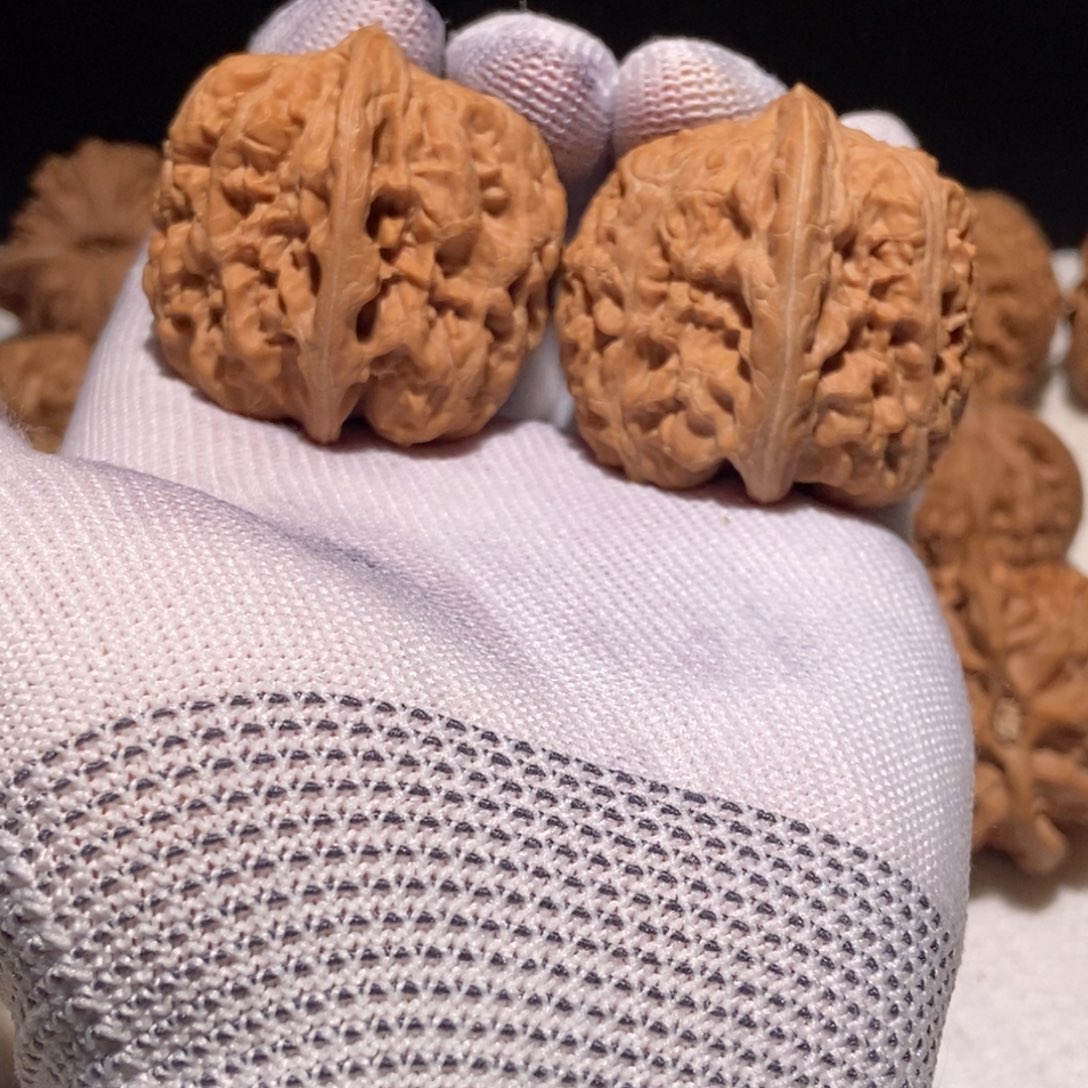 极品西北将军，37+尺全品