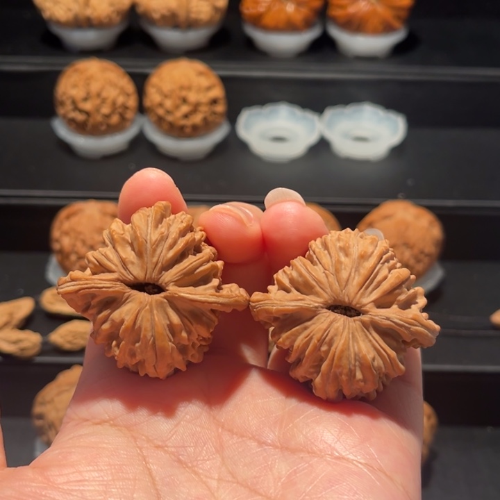 全品，精品，41四座楼220