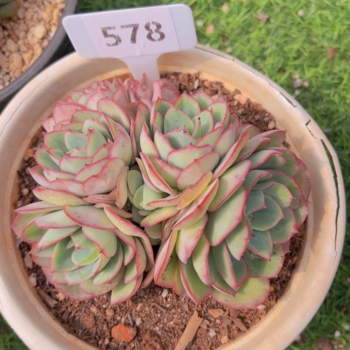 健健康康平平安安