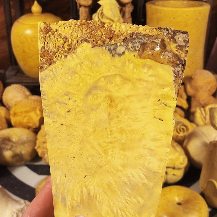 木木料木料木料木料