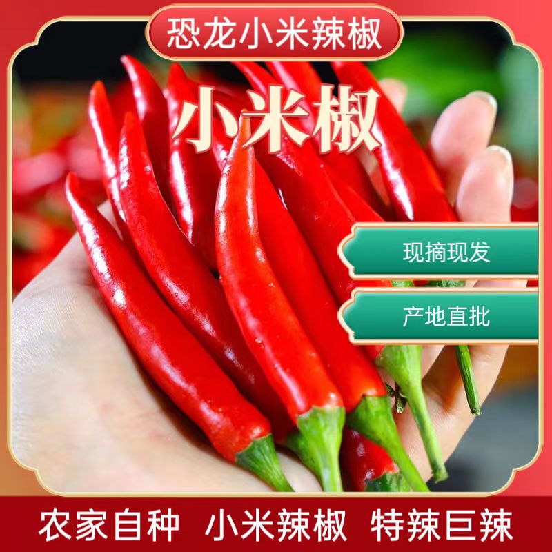 新鲜特辣小米辣椒巨辣朝天椒农家自种小辣椒可做剁椒泡椒辣椒酱