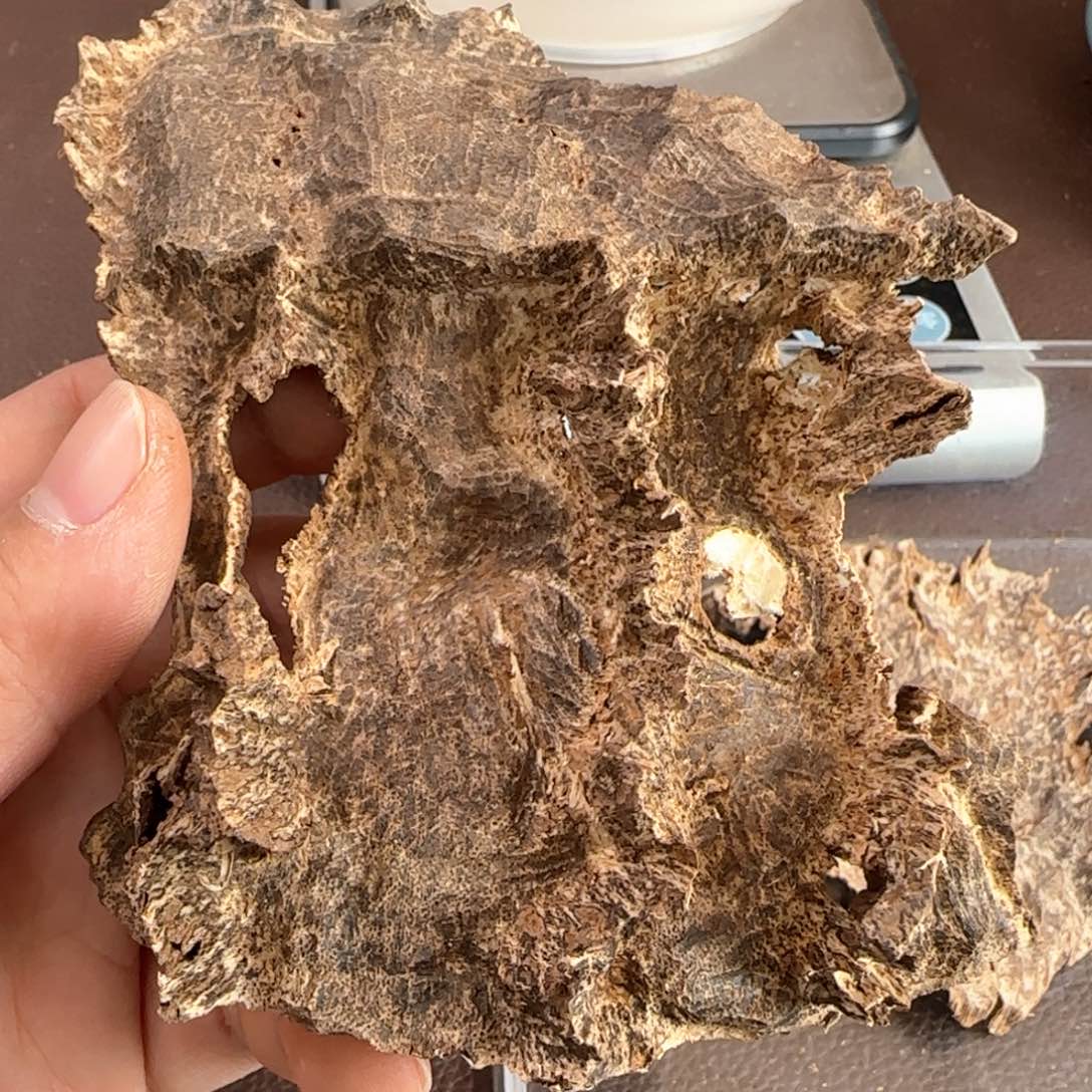 沉香摆件香港沉香野料老铁头29克