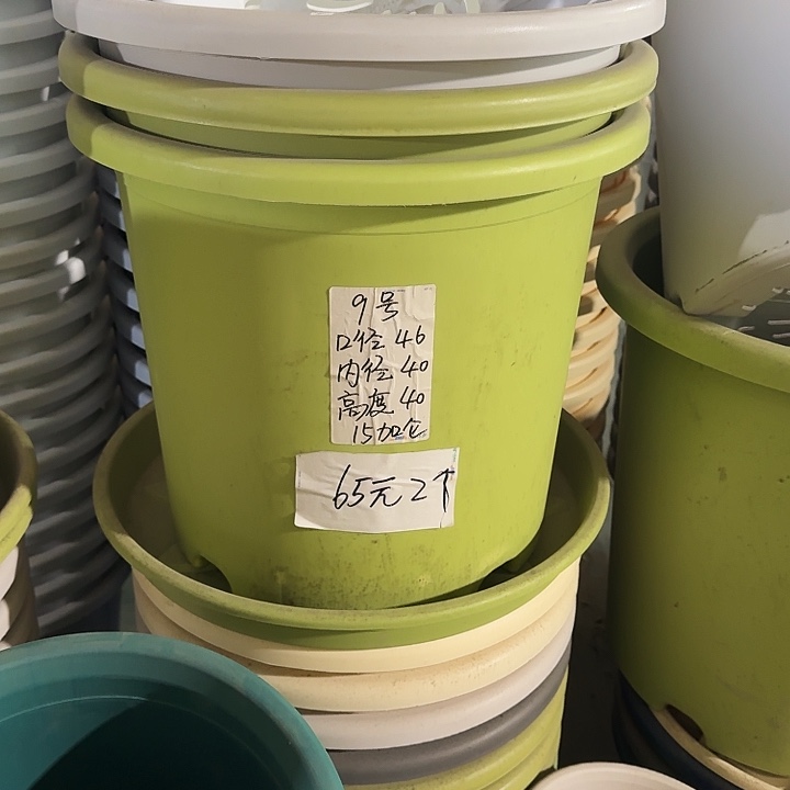 微瑕9#口径46果绿3个无托