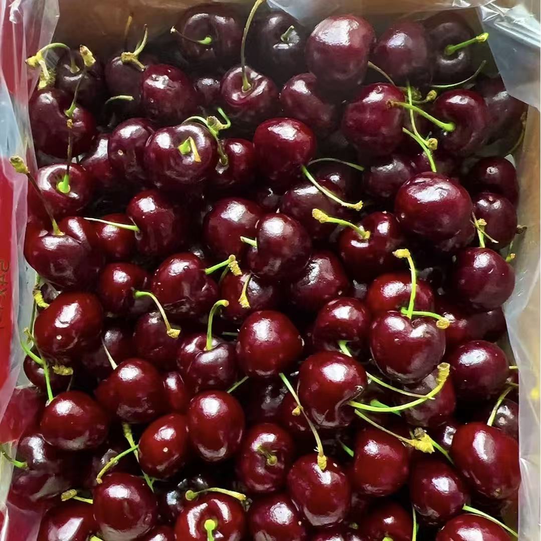 J海运智利都乐拉宾斯车厘子3斤拉宾斯智利