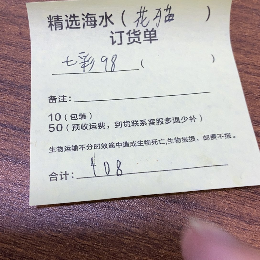 海水鱼精选七彩吊×1