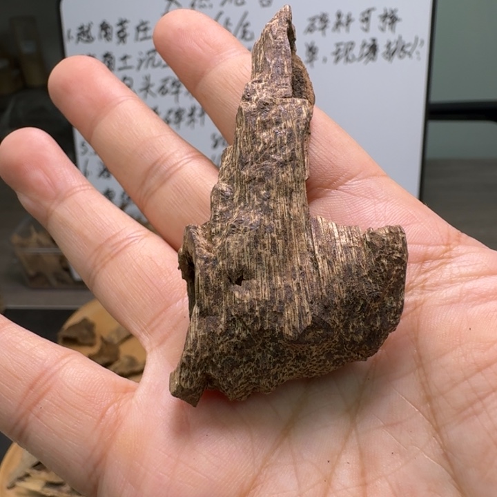 越南熟结虫漏3.5克