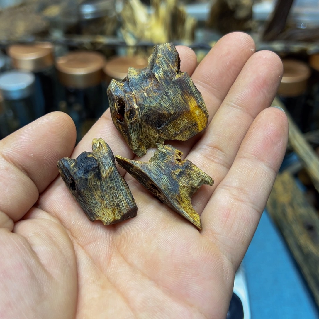 沉香沉香碎屑陆河高端块料12克