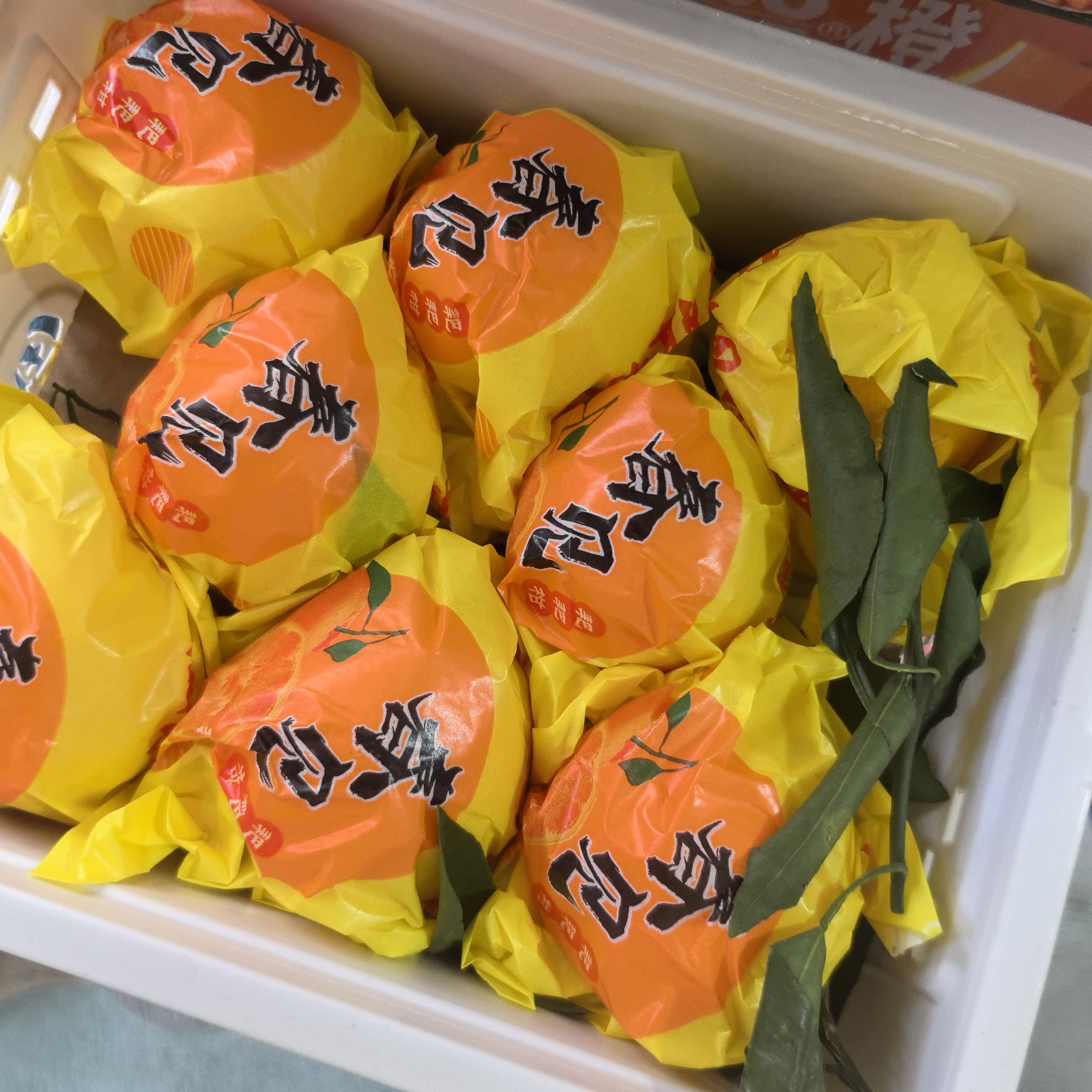 春见耙耙柑丑桔（沈阳跑腿送货）四川省