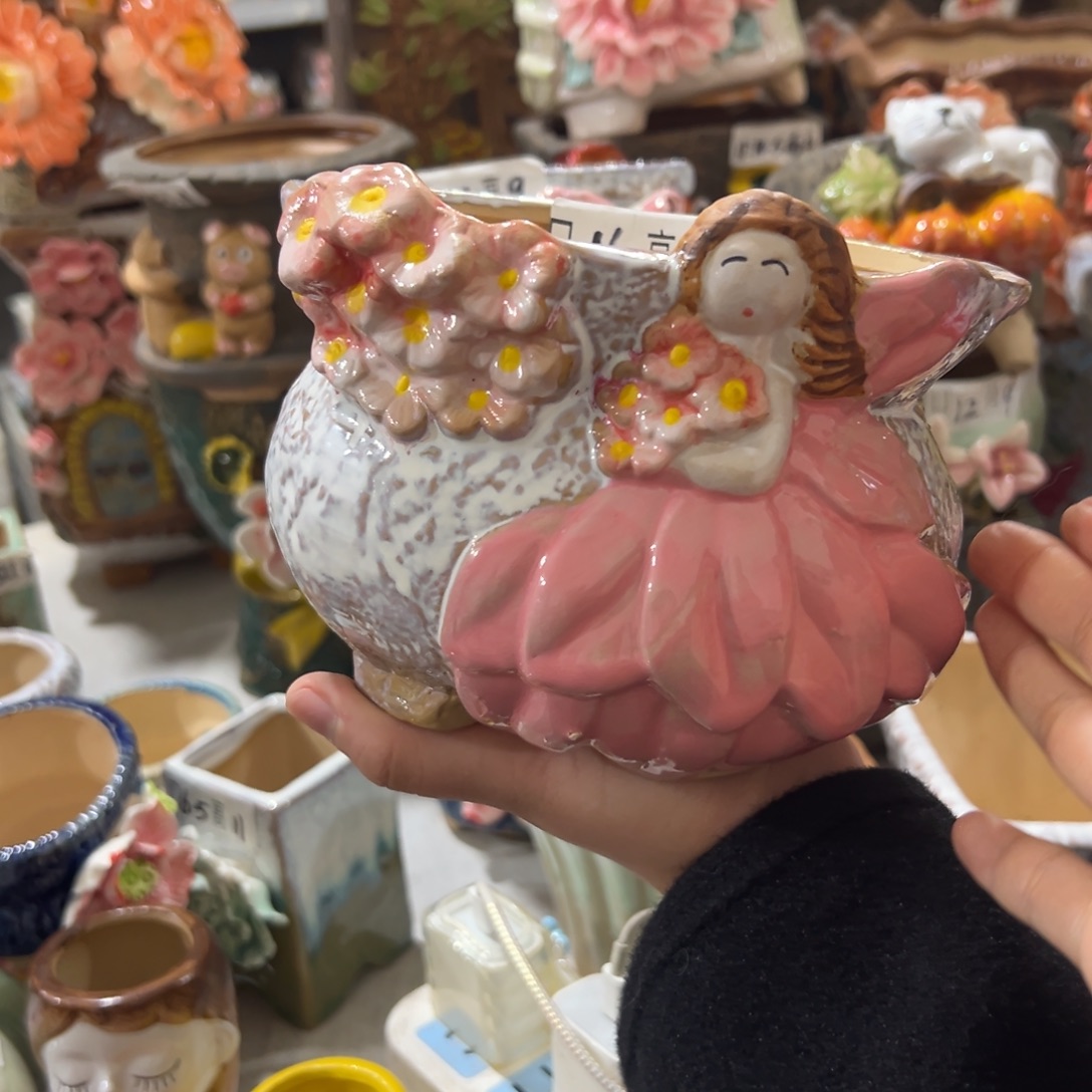 花盆，拍满20发货，退款拉黑