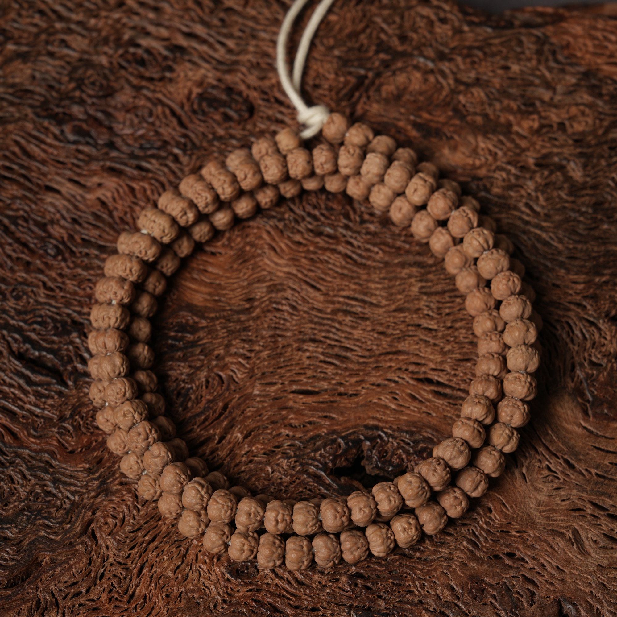 C37原桩南瓜五爪金龙樱桃红佛手小金刚菩提长串尺寸7mm左右