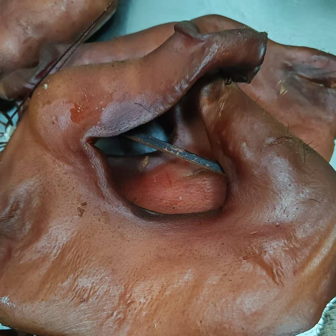 （助农）万源土特产-腊猪拱嘴