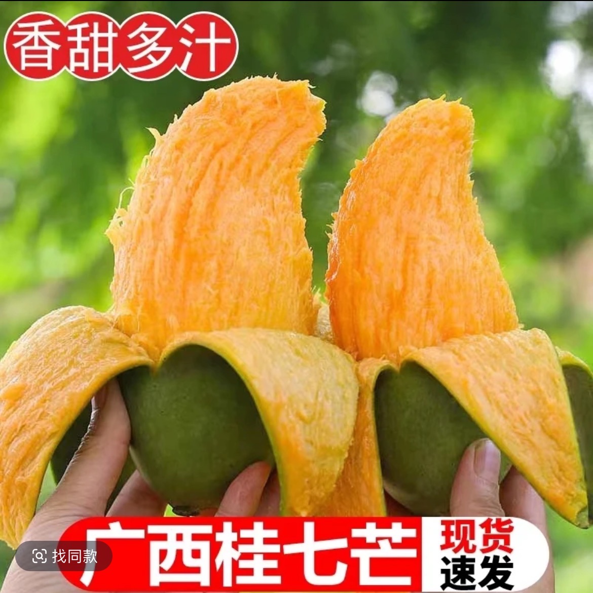 【放软食用】田东桂七香甜多汁当季水果现摘现发老树果青皮