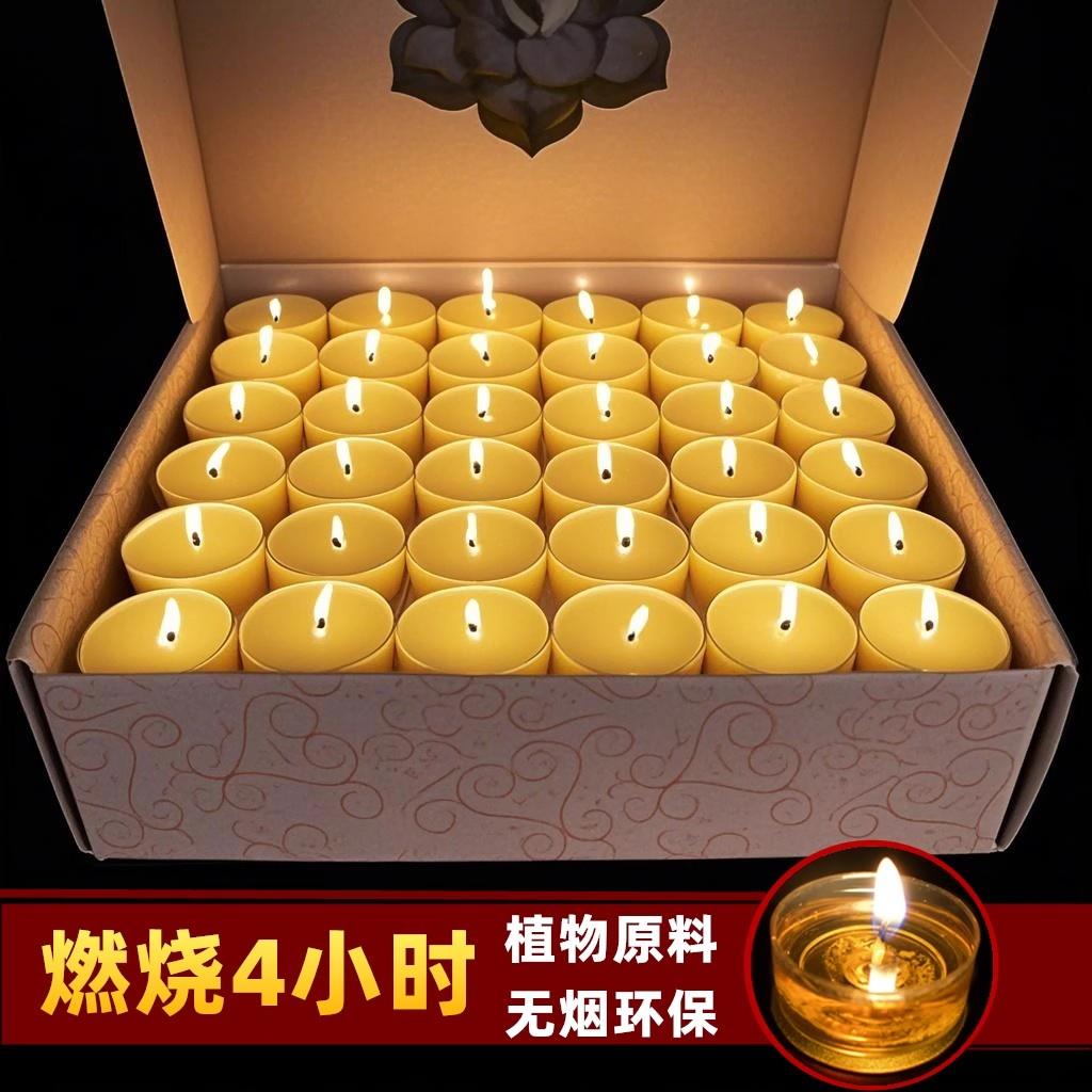 供佛灯8小时无烟酥油灯100粒4小时苏油灯2小时蜡烛佛前供灯长明灯