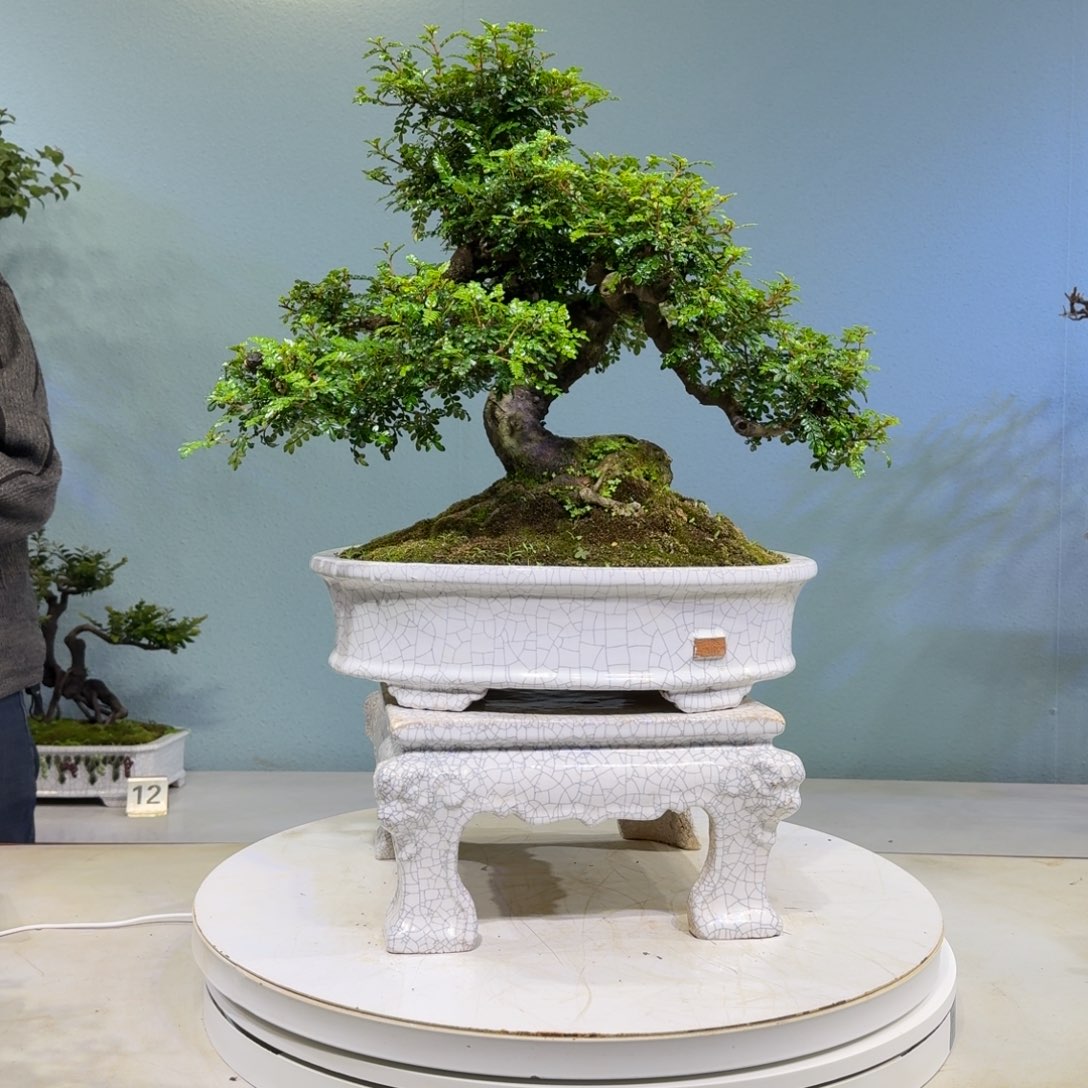 酒***醉以实际为准胡椒木胡椒木