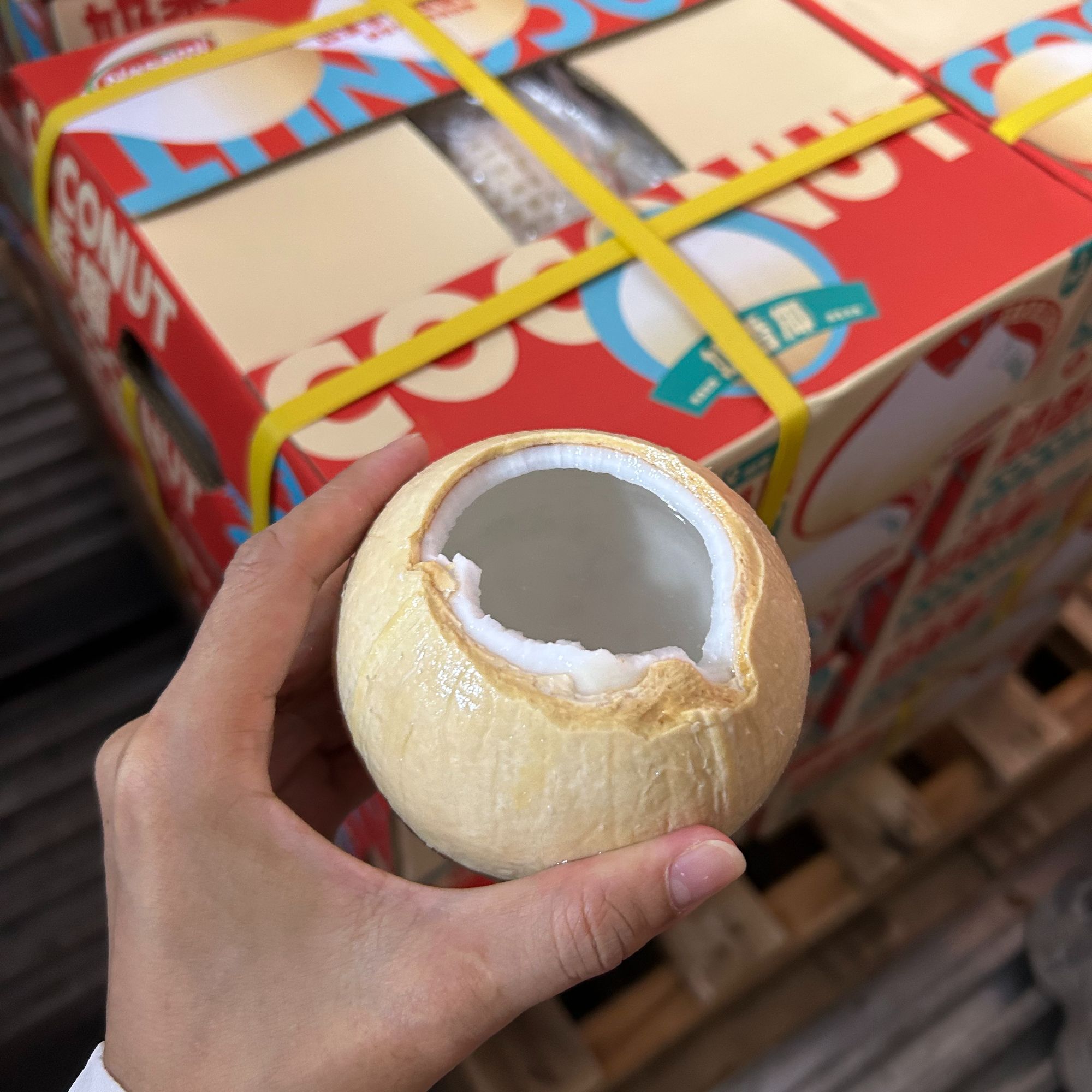 【顺丰冷链】越南进口奶香椰皇椰白去皮椰子新鲜水果孕妇天然补水