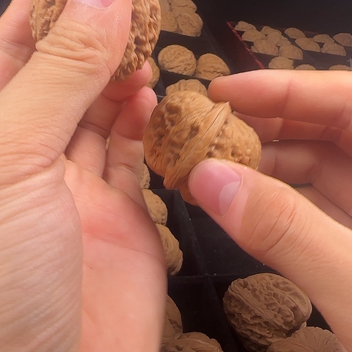 ****ゅ吊坠龙脊菩提啊啊啊啊啊啊啊啊啊啊元宝26