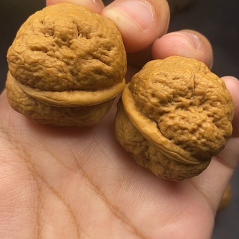 文玩核桃把件35尺云南核桃