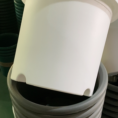 树脂四季6#无托纯白10个