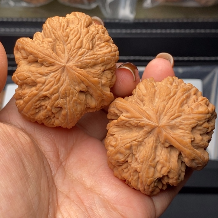 把件文玩核桃Z*持46全品粗筋