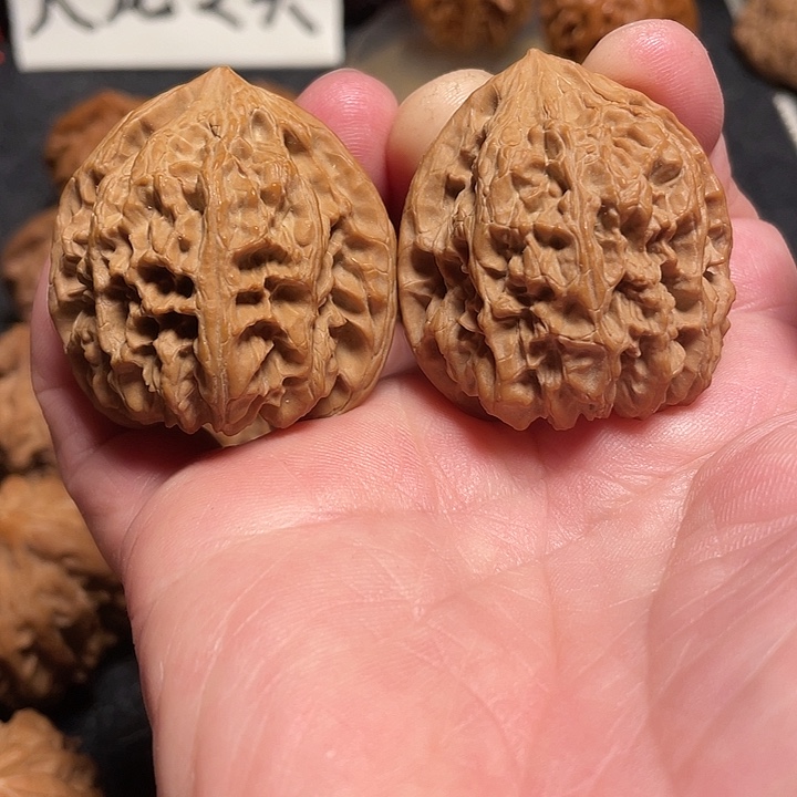 把件文玩核桃野牛