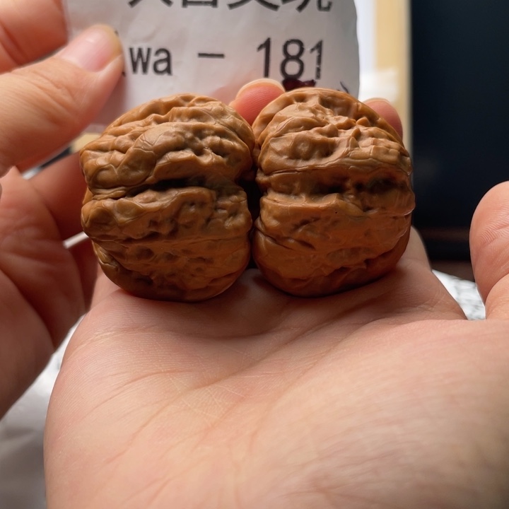 41边44肚红皮打好底微修