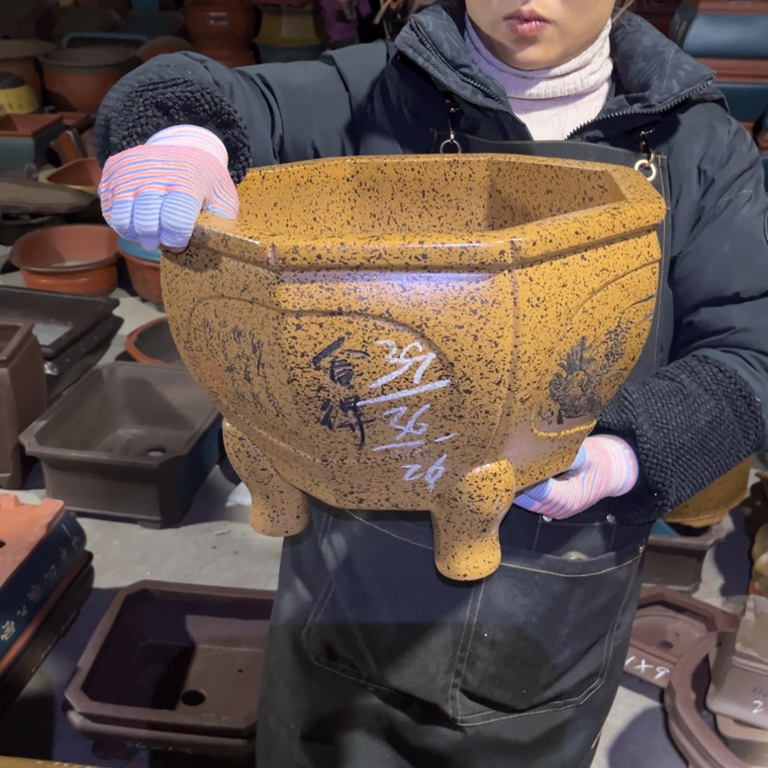 紫砂花盆盆景艺术