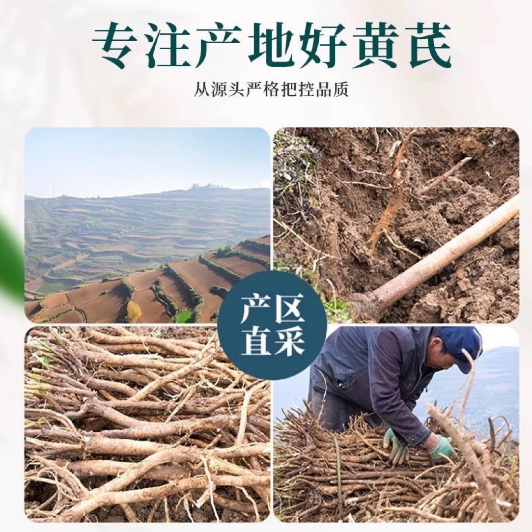 新鲜现挖可煲汤泡水的黄芪农产品