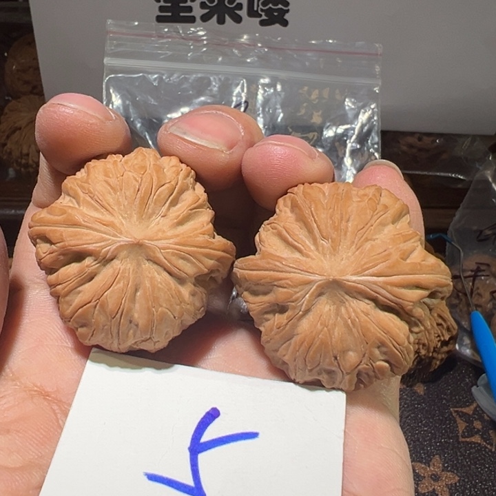 核桃全品无修战鼓