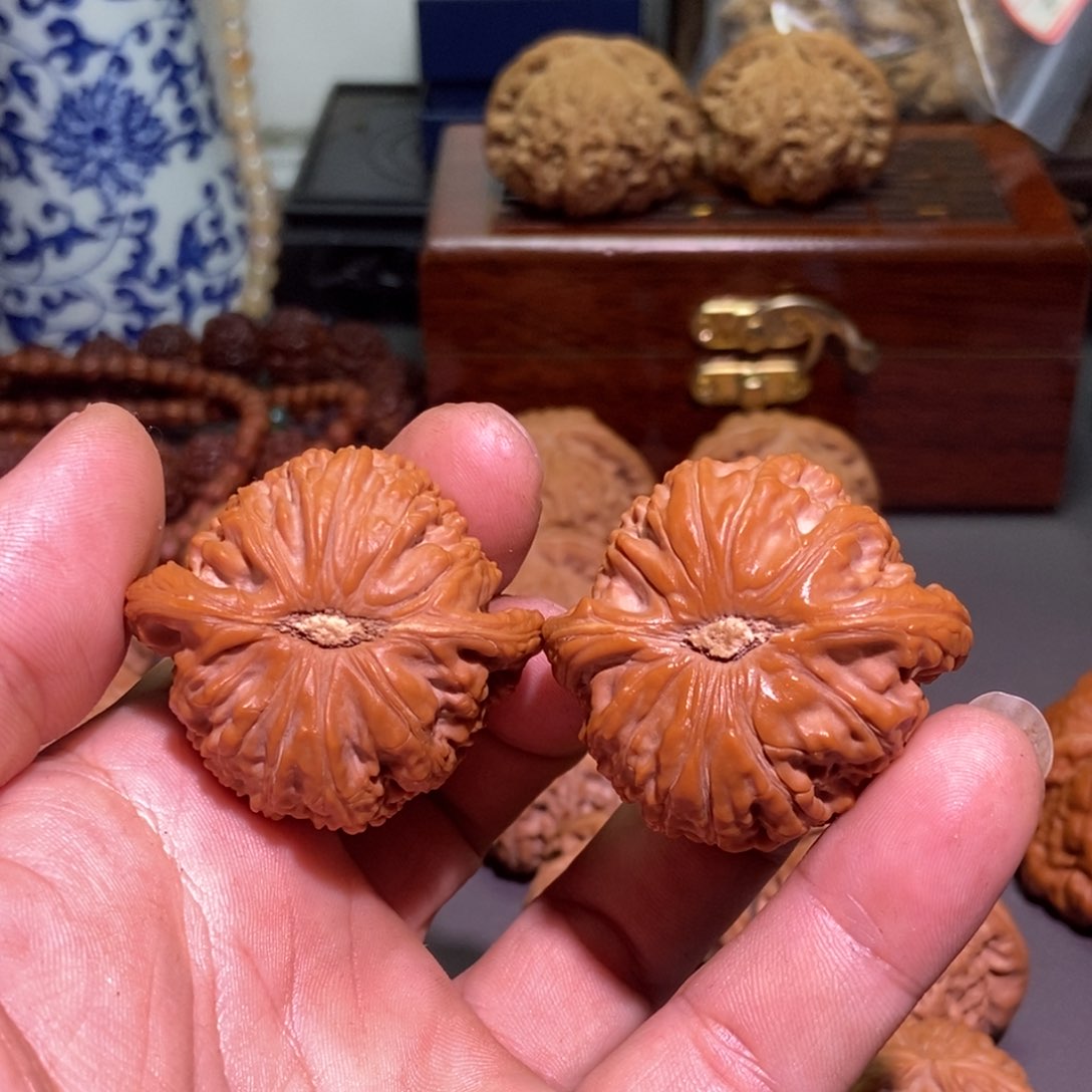 桃核把件J*白狮子核桃