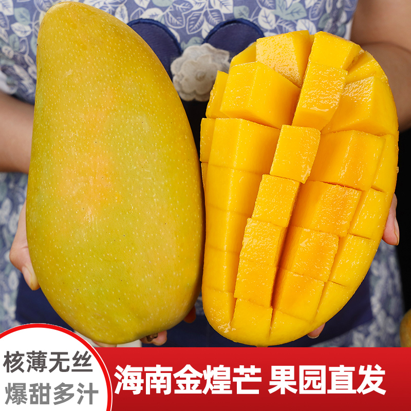 【催熟食用】正宗海南金煌芒芒果香甜可口新鲜应季水果