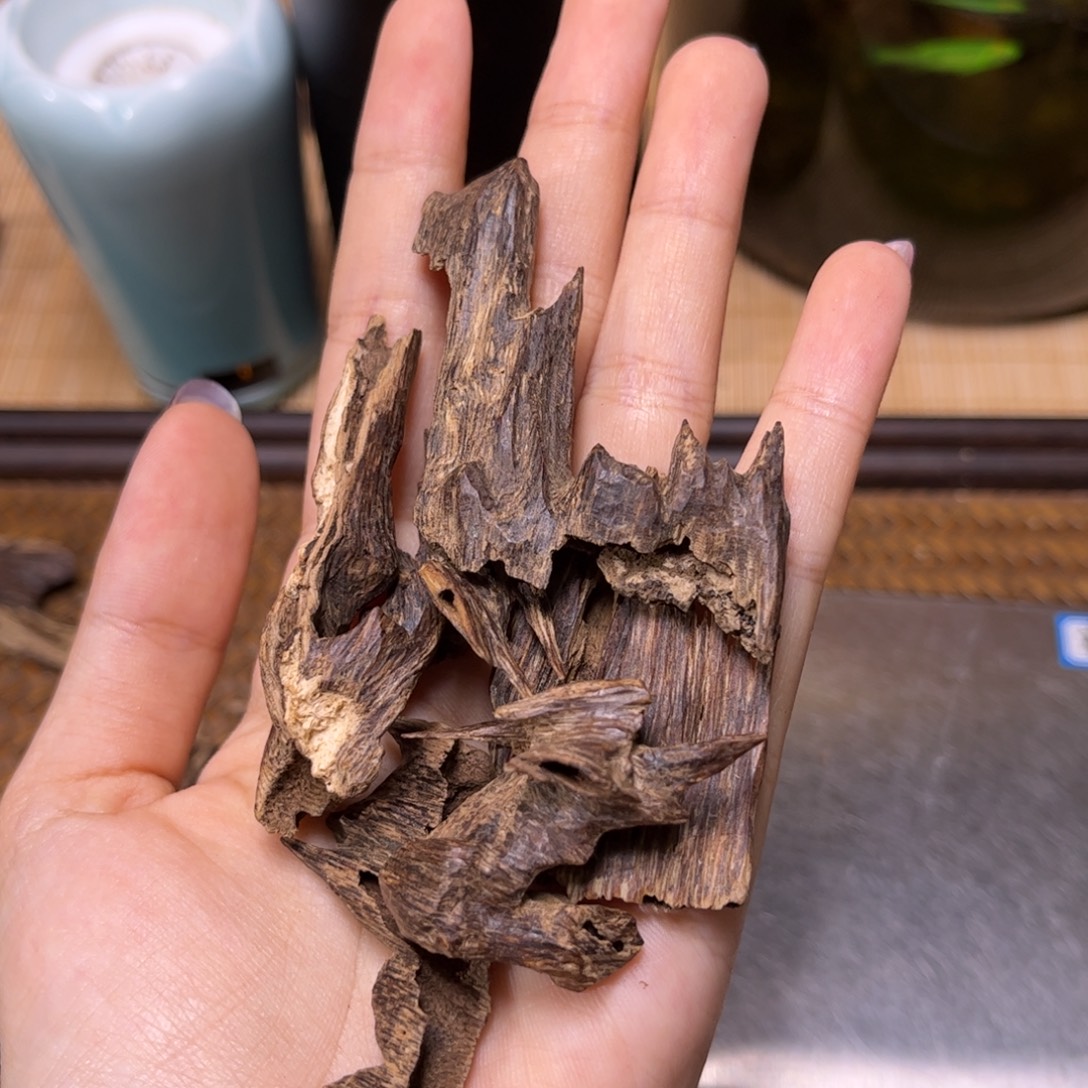 香榧木海南尖峰岭古树结香10克