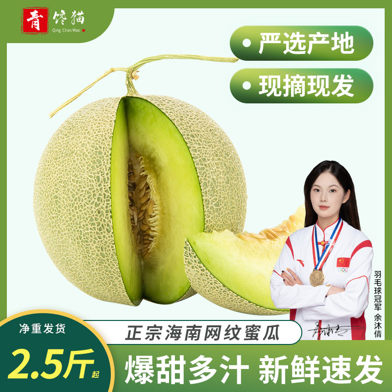 【产地直发】正宗海南网纹蜜瓜香甜瓜玫珑瓜哈密瓜新鲜当季水果整箱