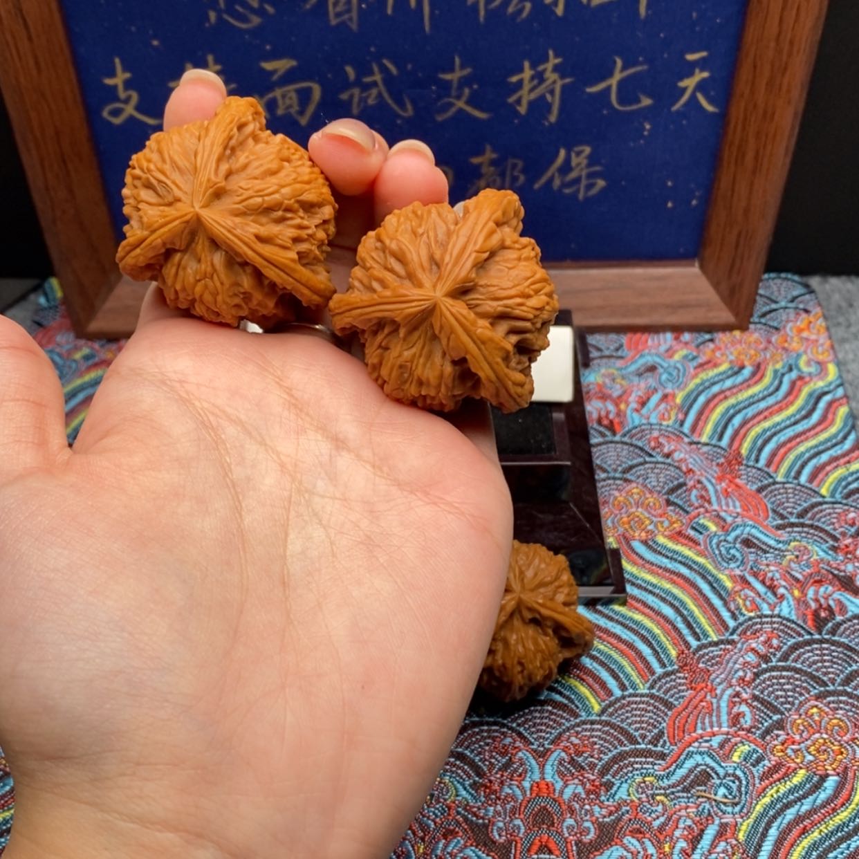 【闪购商品】丹**雅白狮